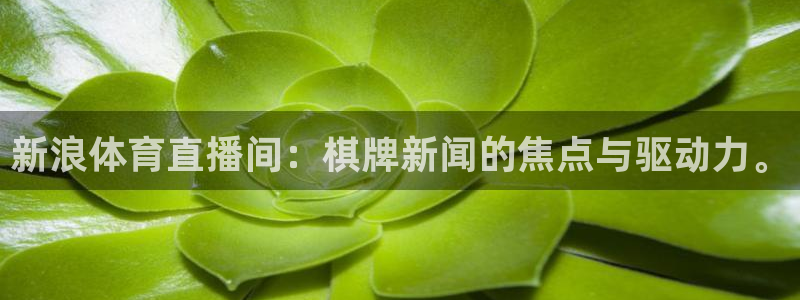 新闻图片