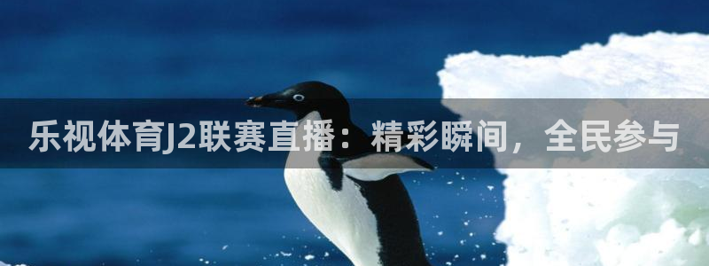 乐视体育J2联赛直播：精彩瞬间，全民参与